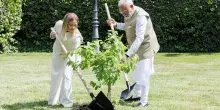 Italia-India, Meloni e Modi piantano un gelso a Villa Pamphilj: le foto della cerimonia