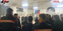 Rapine e furti, maxi operazione carabinieri tra Vicenza e Pisa contro banda sinti