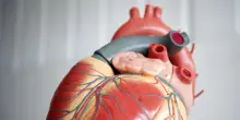 Cuore, le mutazioni genetiche che sfuggono agli esami: le ricerche