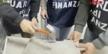 Genova, droga nascosta nelle mattonelle: sequestrati 11 kg di cocaina pura e hashish