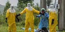 Ebola, la minaccia si allarga: il cittadino degli Usa e la mossa dei Cdc