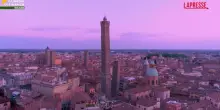 Bologna: truffe online e commercio illegale animali esotici, una denuncia