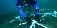 Ambiente, Marevivo con Soka Gakkai nel progetto &lsquo;3 R per il Mare&rsquo;