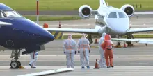 Hantavirus, il nuovo caso e l&rsquo;ipotesi topi a bordo della nave