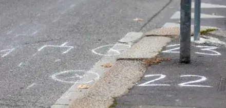 Travolse ladro a Viareggio, chiesto l&rsquo;ergastolo per Cinzia Dal Pino