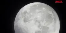 Cile, tutti con gli occhi in su per osservare la micro luna blu