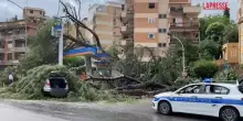 Maltempo a Roma, albero si abbatte su un distributore di carburante