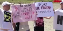 Albania, la protesta dei "fenicotteri rosa" arriva anche in Italia: "Non siamo in vendita"