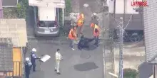 Giappone, orso catturato dopo diversi giorni di caccia a Utsunomiya