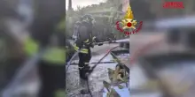 Roma, incendio in un vivaio: lintervento dei Vigili del Fuoco