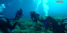 Proteggere e restaurare i coralli, il progetto per il Mediterraneo di Marevivo