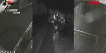 Vicenza, ladri di gioielli scoperti dai carabinieri: i video delle telecamere di sorveglianza