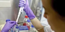 Passaporto farmacogenomico per farmaci pi&ugrave; sicuri ed efficaci