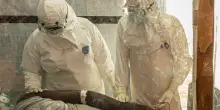 Ebola: finora 2 casi in Europa, l&rsquo;Ecdc e il rischio di infezione