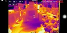 Caldo record a Londra: le immagini delle termocamere diffuse da Greenpeace