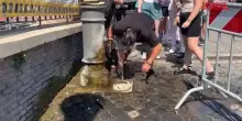 Caldo torrido a Roma, i rimedi dei turisti per resistere alle alte temperature