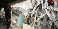 Terremoto in Venezuela, i soccorritori spagnoli utilizzano i cani per cercare sopravvissuti