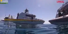 Ancona, restituite al mare due tartarughe Caretta caretta