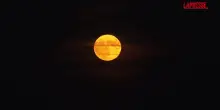 Austria, a Vienna lo spettacolo della "Luna delle Fragole"