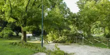 Milano, pioggia e temporali in arrivo oggi: allerta arancione, parchi chiusi