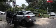Pioggia e vento su Milano, crolla albero in viale Lazio e finisce sopra una vettura