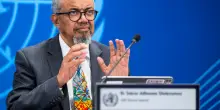 Hantavirus, Ebola e ora Marburg: l&rsquo;Oms fa il punto sui virus nel mondo