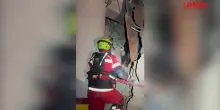 Venezuela, cane-eroe rintraccia superstite tra le macerie a 8 giorni dal sisma