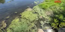 Torino, il Po in sofferenza: il livello dellacqua &egrave; sempre pi&ugrave; basso