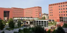 Universit&agrave;, 5 nuovi percorsi post-laurea di Milano-Bicocca
