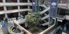 Al Campus Bio-Medico il &lsquo;Sigillo d&rsquo;Oro&rsquo; per le cure, &egrave; la quinta volta
