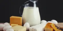 Malattia renale, ecco il formaggio a ridotto contenuto di fosforo