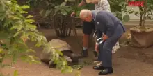 Re Carlo allo zoo di Londra tra tartarughe, pinguini e lumache