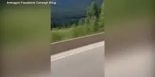Dorme al volante e la Tesla guida da sola, il video virale sui social
