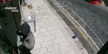 Cerignola, rapina in farmacia con coltello: il colpo ripreso dalle telecamere