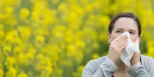 Allergie, oltre 6mila pazienti piemontesi costretti a pagarsi le cure: la denuncia