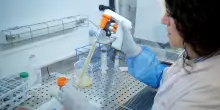 In arrivo una nuova terapia genica per la beta-talassemia: lo studio