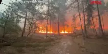 Francia, incendio nella foresta di Fontainebleau: 800 ettari bruciati