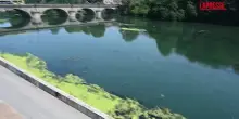 Torino, il Po invaso dalla vegetazione: al via la rimozione delle piante dal fiume