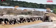 Taranto, caporalato e disastro ambientale: due arresti e sequestri per oltre un mln