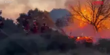 Spagna, nella provincia di Saragozza incendio fuori controllo: vigili del fuoco lottano contro le fiamme