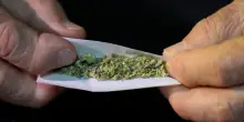 Libri, &lsquo;THC. Storie di tetraidrocannabinolo&rsquo;: Cicinelli mette al centro gli ultimi in 12 racconti