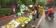 India, popolazione manda generi alimentari ai manifestanti di &ldquo;Cockroach&rdquo;
