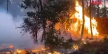 Francia, incendi a Cap-Ferret: evacuati diversi villaggi