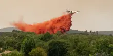 Incendi in Francia e Spagna, oltre 260mila persone evacuate