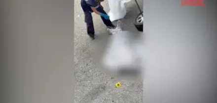 Morte Fakir, in un nuovo video visibili chiazze di sangue sotto la testa