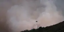 Incendi, Gargano in fiamme: turisti evacuati dai villaggi