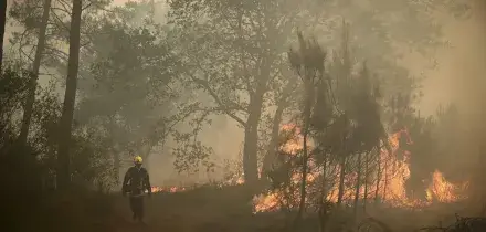 Francia, nella Gironda gli incendi bruciano 42mila ettari: 220mila le persone sfollate