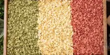 Dieta mediterranea in crisi in Italia? La Bbc e la replica del nutrizionista