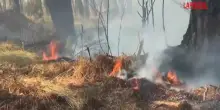 Incendi Francia, anche la popolazione locale si attiva per spegnere le fiamme nella regione di Bordeaux