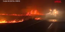 Portogallo, incendio divora il nord-est del Paese